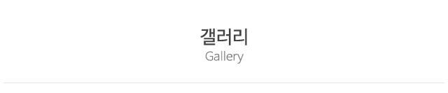지인사주타로_상단